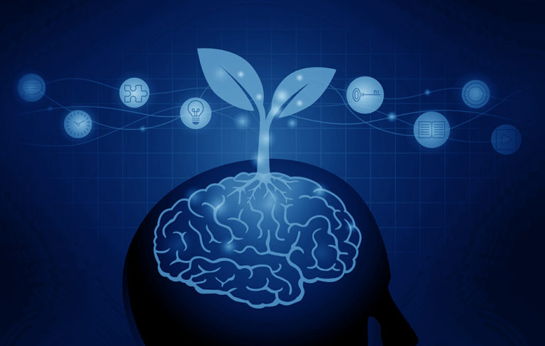 Mastering the Mindset of Business Success